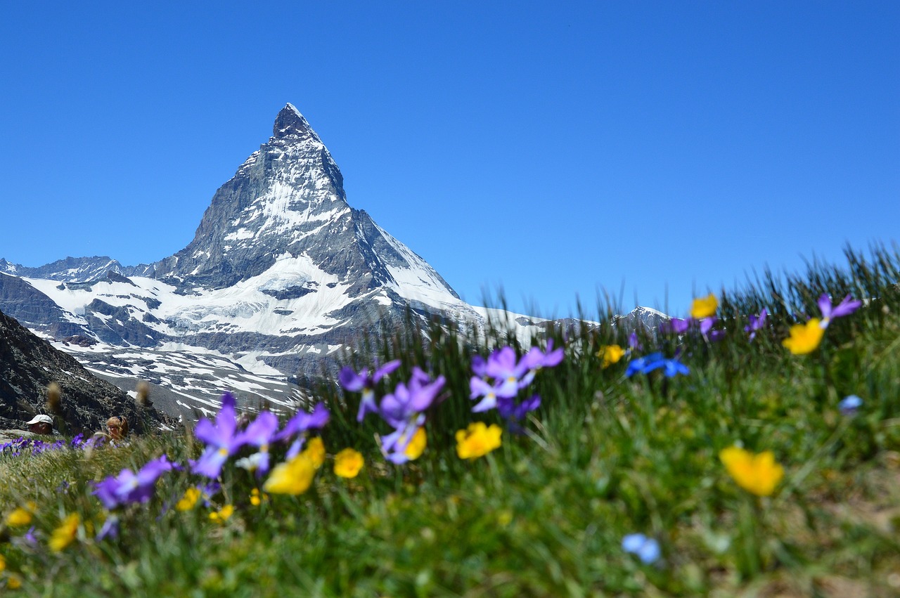 Die besten Golfplätze in der Schweiz