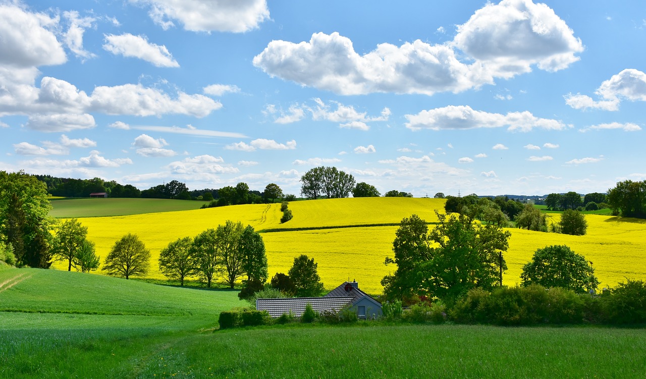 Die besten Golfplätze in Bayern